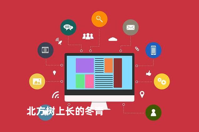 北方树上长的冬青