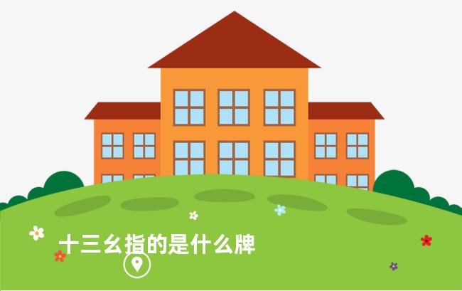 十三幺指的是什么牌