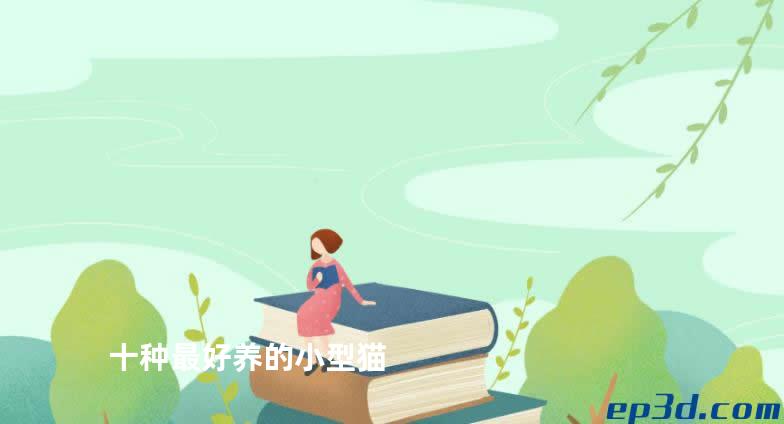 十种最好养的小型猫