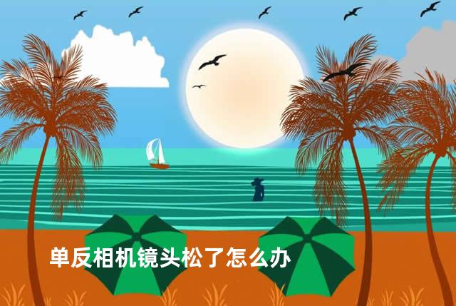 单反相机镜头松了怎么办