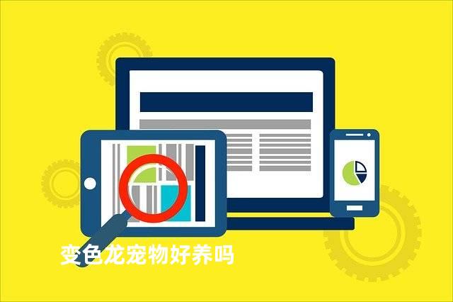 变色龙宠物好养吗