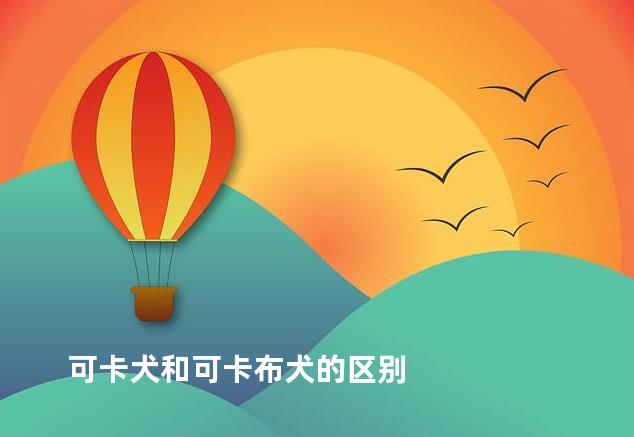 可卡犬和可卡布犬的区别
