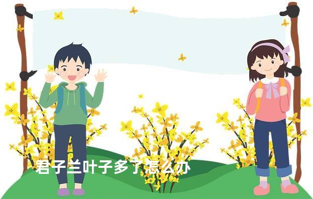 君子兰叶子多了怎么办