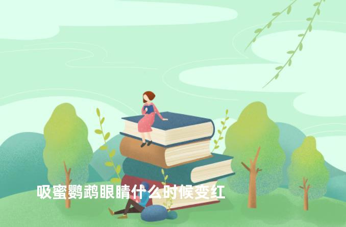 吸蜜鹦鹉眼睛什么时候变红