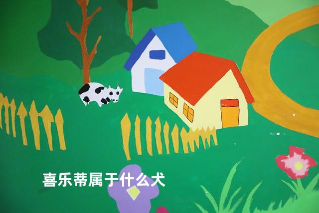 喜乐蒂属于什么犬