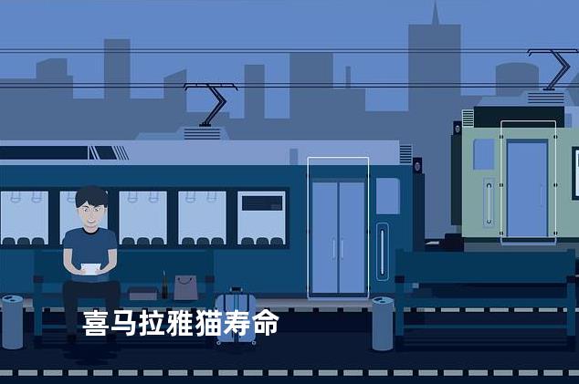 喜马拉雅猫寿命