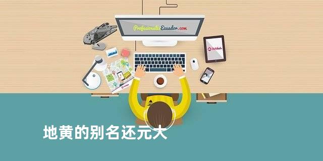 地黄的别名还元大