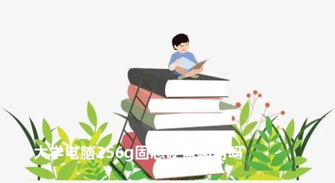 大学电脑256g固态硬盘够用吗