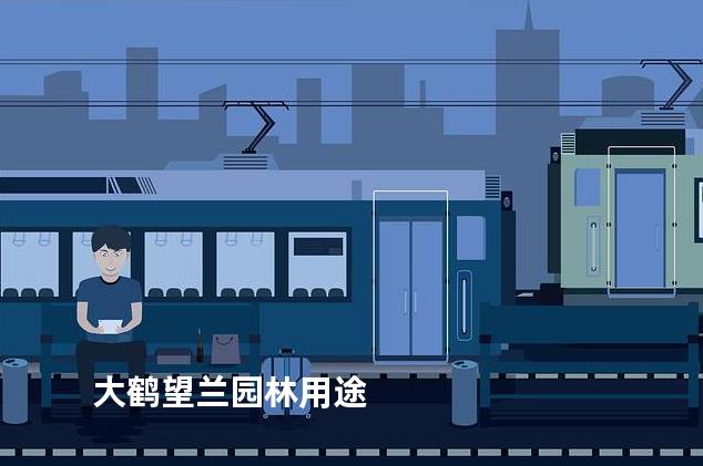 大鹤望兰园林用途