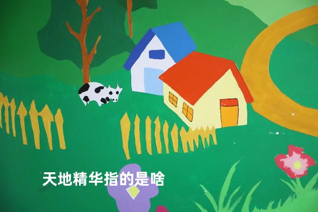 天地精华指的是啥