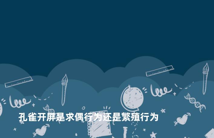 孔雀开屏是求偶行为还是繁殖行为