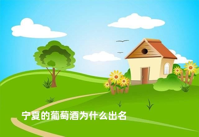 宁夏的葡萄酒为什么出名