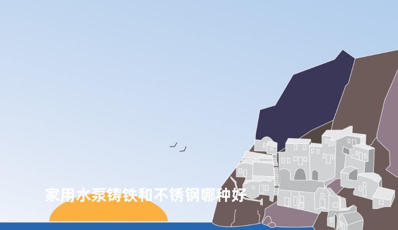 家用水泵铸铁和不锈钢哪种好