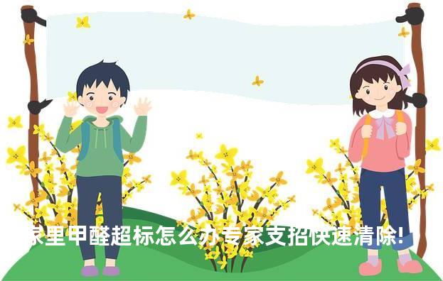 家里甲醛超标怎么办专家支招快速清除!