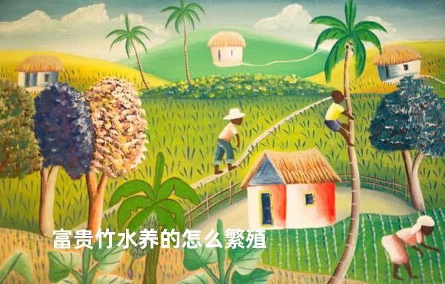 富贵竹水养的怎么繁殖