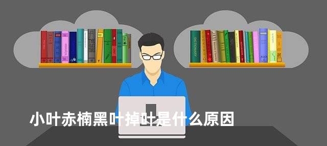 小叶赤楠黑叶掉叶是什么原因