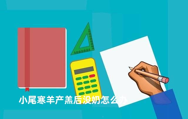 小尾寒羊产羔后没奶怎么办