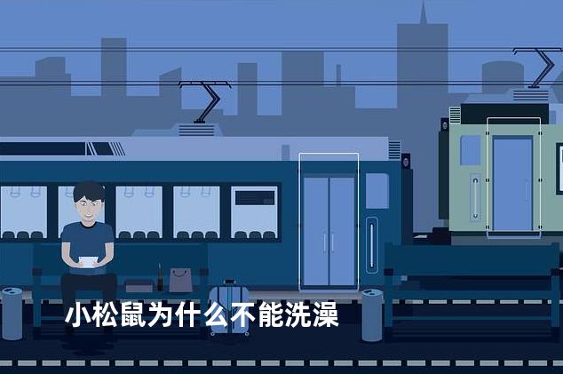 小松鼠为什么不能洗澡