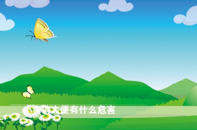 小狗的大便有什么危害