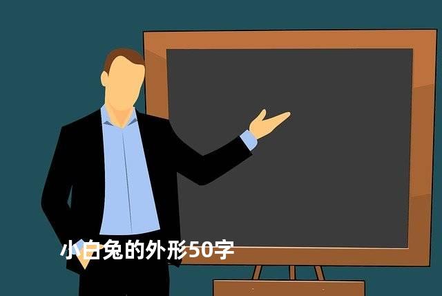 小白兔的外形50字