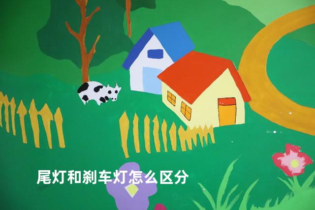 尾灯和刹车灯怎么区分