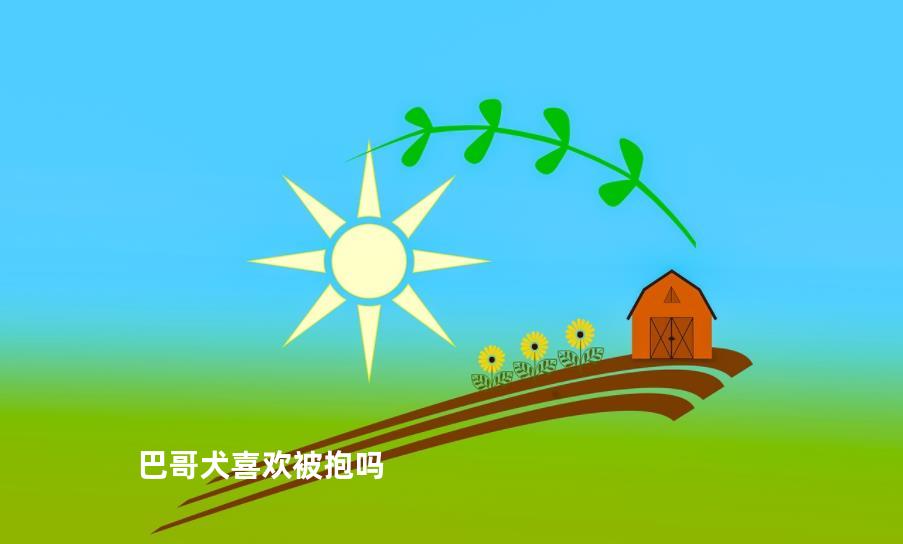 巴哥犬喜欢被抱吗