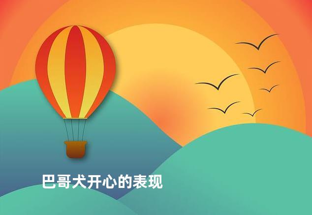 巴哥犬开心的表现