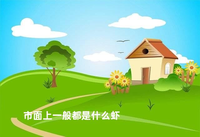 市面上一般都是什么虾
