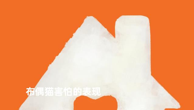 布偶猫害怕的表现