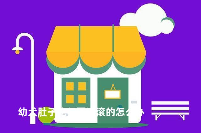 幼犬肚子吃得圆滚滚的怎么办