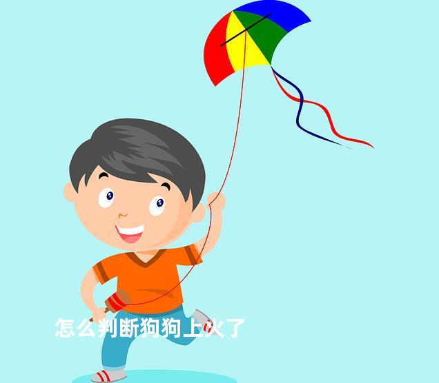 怎么判断狗狗上火了