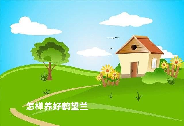 怎样养好鹤望兰