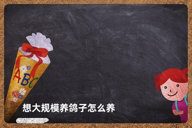 想大规模养鸽子怎么养