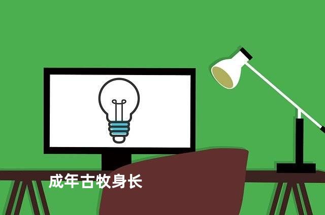 成年古牧身长