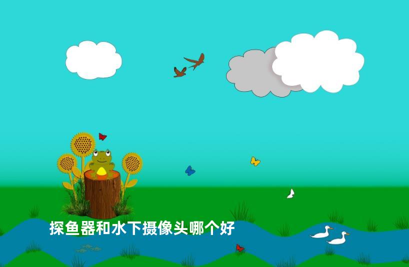 探鱼器和水下摄像头哪个好