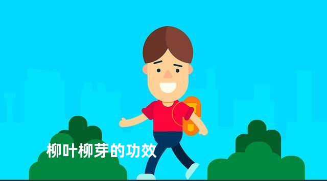 柳叶柳芽的功效
