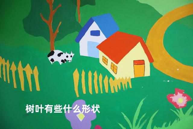 树叶有些什么形状