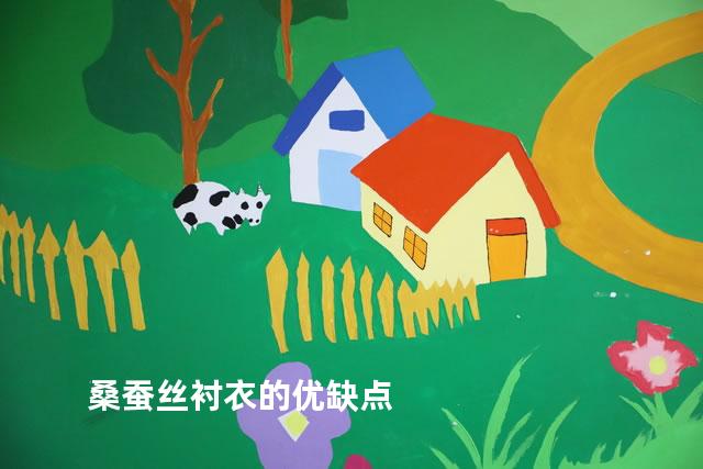 桑蚕丝衬衣的优缺点