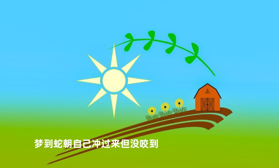 梦到蛇朝自己冲过来但没咬到