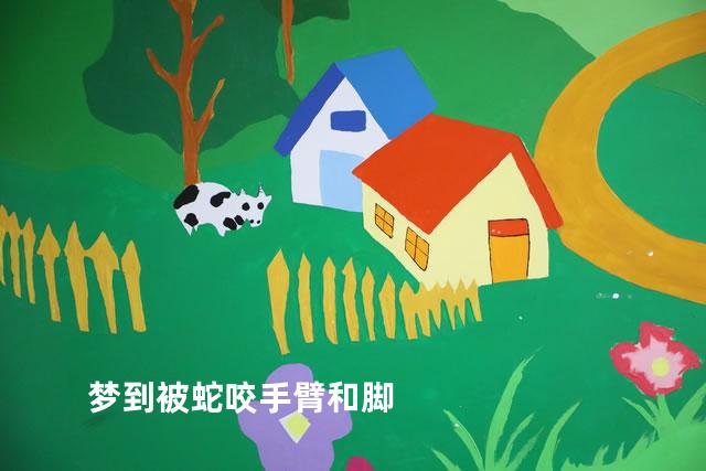 梦到被蛇咬手臂和脚