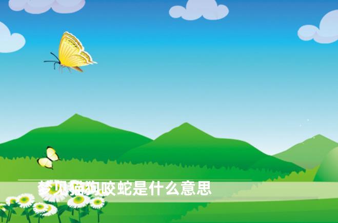 梦见猫狗咬蛇是什么意思