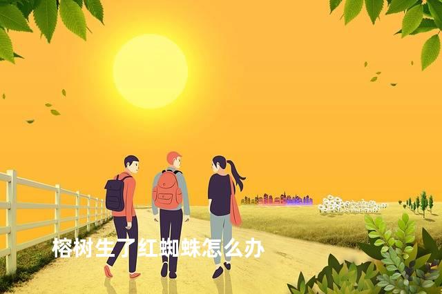 榕树生了红蜘蛛怎么办
