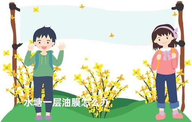 水塘一层油膜怎么办