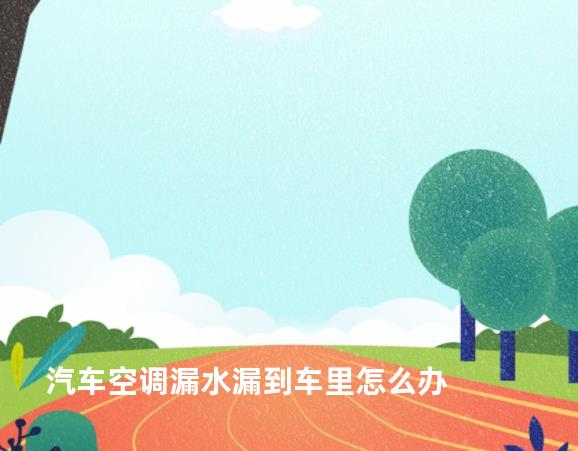 汽车空调漏水漏到车里怎么办