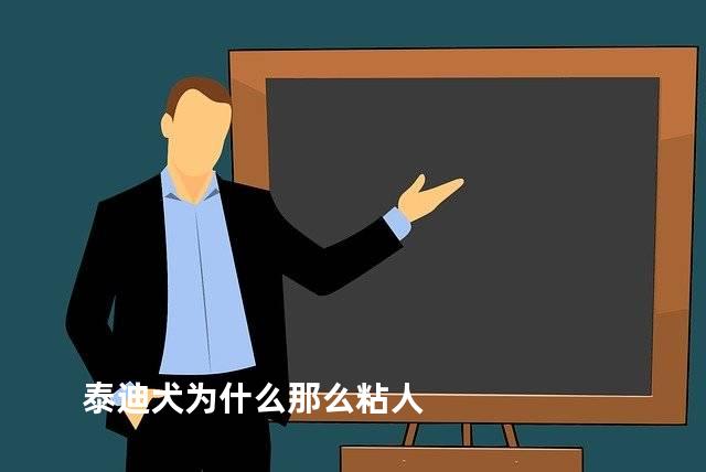 泰迪犬为什么那么粘人