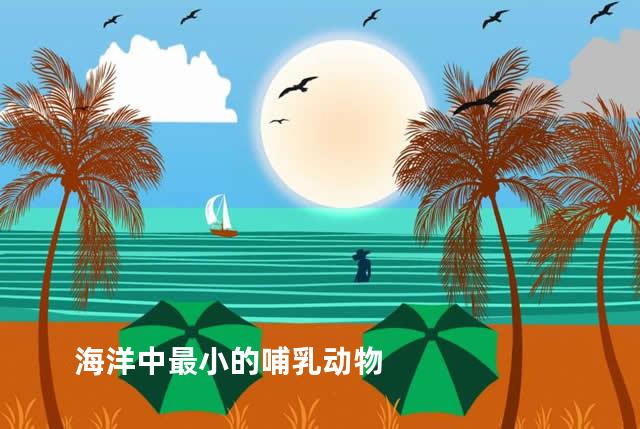 海洋中最小的哺乳动物