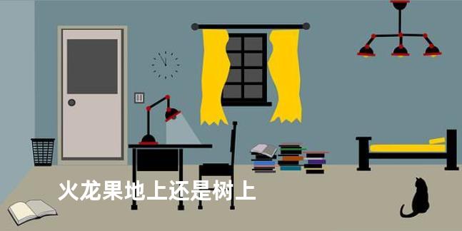 火龙果地上还是树上
