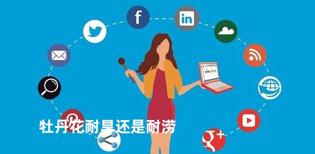 牡丹花耐旱还是耐涝