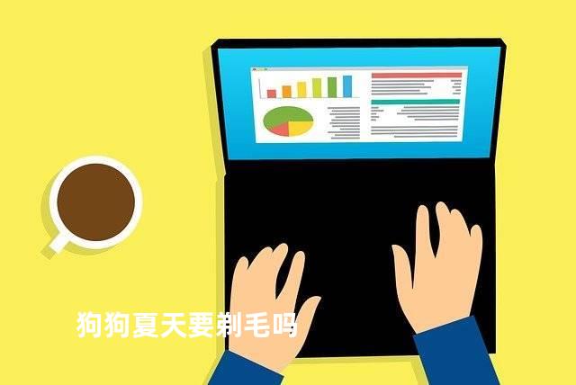狗狗夏天要剃毛吗