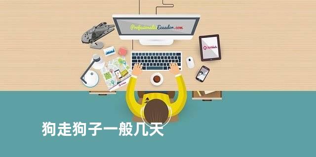 狗走狗子一般几天